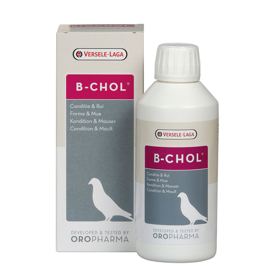 Versele Laga B-Chol 500ml