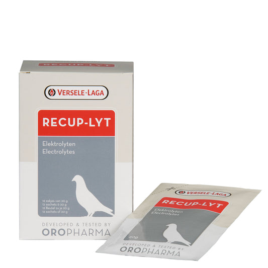 Versele Laga Recup-Lyt 240g