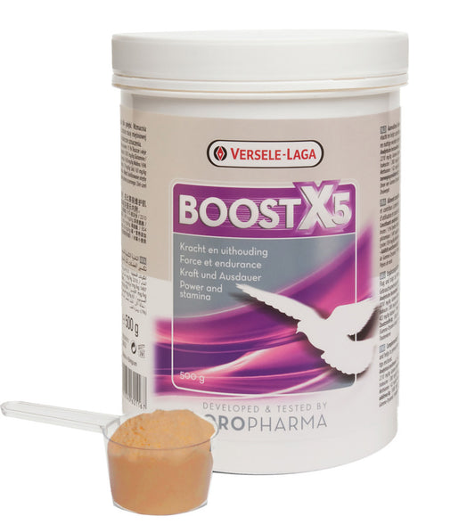 Versele Laga Boost x5 500g